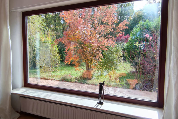 2 Zimmer Ippendorf