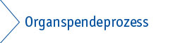 Button Organspendeprozess